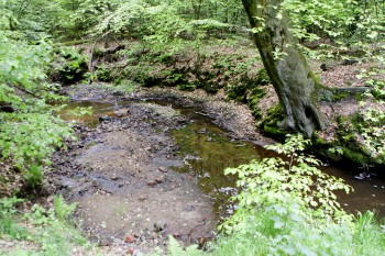 De Jufferbeek.